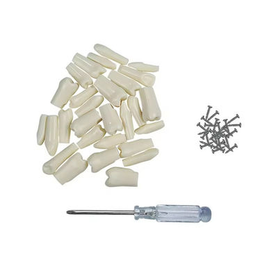 32 sztuk / Zestaw Typodont Zęby Zastępcze Zęby Stomatologiczne Studentowe Narzędzia Praktyczne Twardość Zęby z żywicy