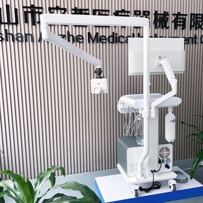 Veterinary Dental Workstation Veterinary Dental Unit Veterinary Dental Instruments for Dogs