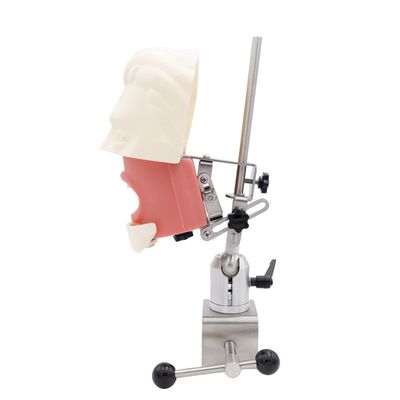 Zębowy Symulator Jednostka Edukacyjna Szkoła Stomatologiczna System Symulacji Stomatologicznych Implantów