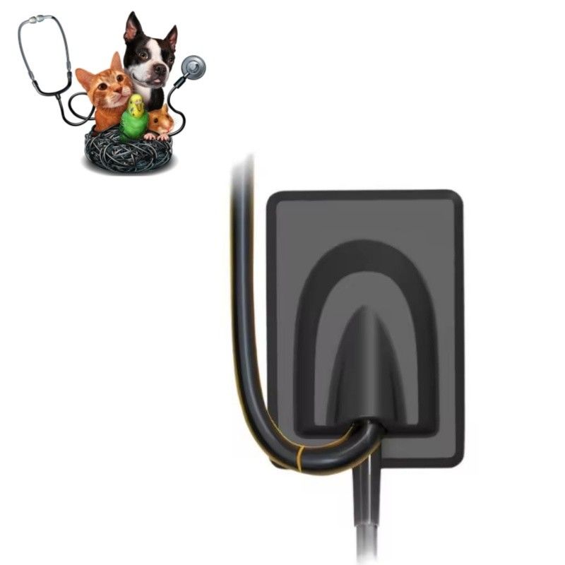 Sprzęt stomatologiczny weterynaryjny Cyfrowy system obrazowania rentgenowskiego Zęby zwierząt domowych Czujnik rentgenowski RVG