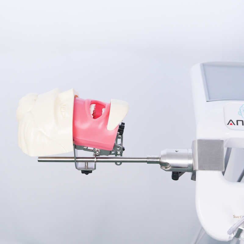 Zaawansowany model fantomowy głowy do nauki stomatologii, model szkoleniowy do ćwiczeń na biurku, symulator szkolenia stomatologicznego