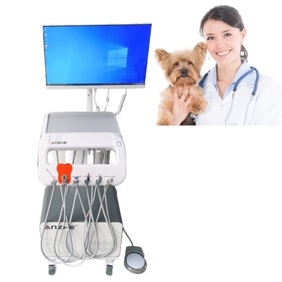 Mobilny Stół Dentystyczny dla Sprzętu Weterynaryjnego do Leczenia Zwierząt, Mobilny Wózek Dentystyczny do Pielęgnacji Zębów Zwierząt