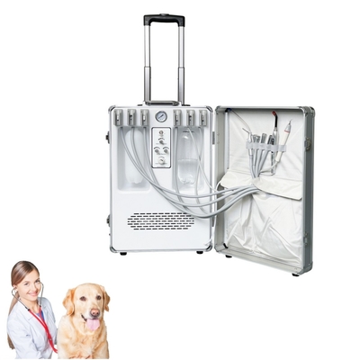 Ręczny sprzęt weterynaryjny do stomatologii, walizka do leczenia zębów zwierząt, pielęgnacja zębów zwierząt, mobilny gabinet dentystyczny dla zwierząt