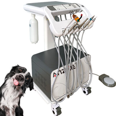 Factory Direct Veterinary Pet Dental Mobile Trolley with X-Ray Unit Portable Vet Dental Treatment Cart OEM Dental Trolley