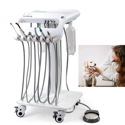 Dobra cena. Przenośna maszyna dentystyczna weterynaryjna z 550W mocy 10L zbiornik z nierdzewnym powietrzem i poziom hałasu 38DB do mobilnej terapii stomatologicznej w Internecie