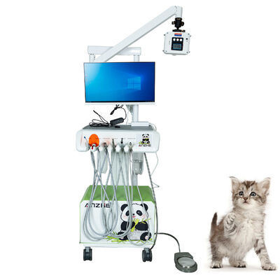 Original Factory Veterinary Digital Intraoral Sensor Plug-and-Play Fully Equipped High-Resolution X-Ray for Pet Clinics