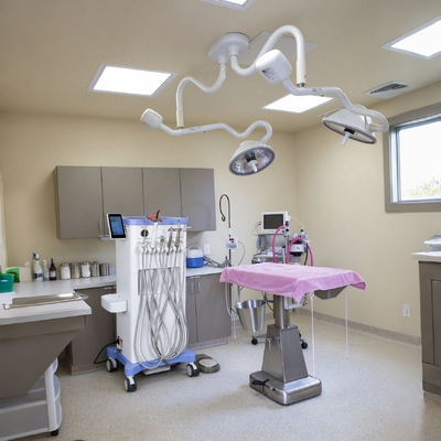 Dobra cena. 550W Portable Veterinary Dental Cart with 0.8Mpa Pressure and 38DB Noise for Animal Dental Workstation / 550W przenośny wózek weterynaryjny z 0.8Mpa ciśnienia i 38DB hałasu dla stacji dentystycznej zwierząt w Internecie
